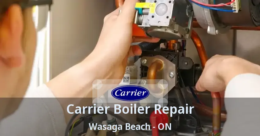 Carrier Boiler Repair Wasaga Beach - ON