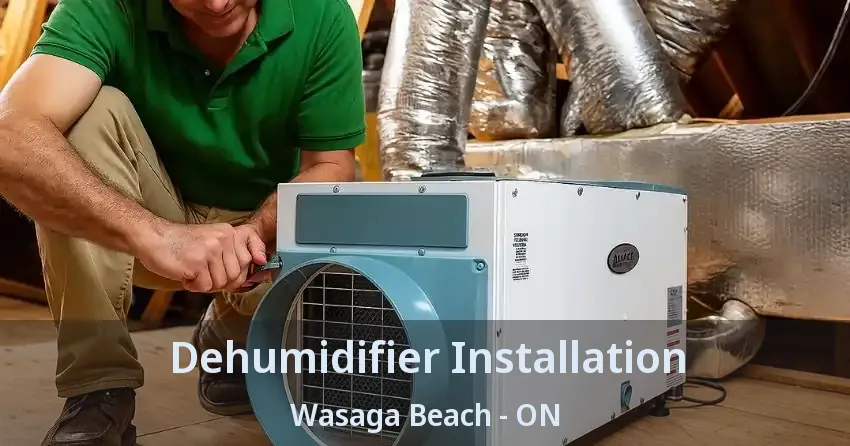Dehumidifier Installation Wasaga Beach - ON