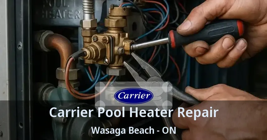 Carrier Pool Heater Repair Wasaga Beach - ON